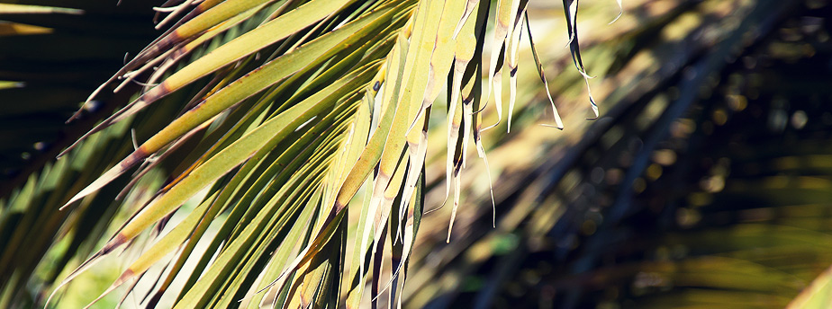 免费商用不犯法的网站攻击防护