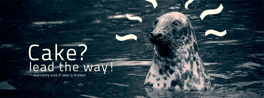 安卓ddos攻击工具