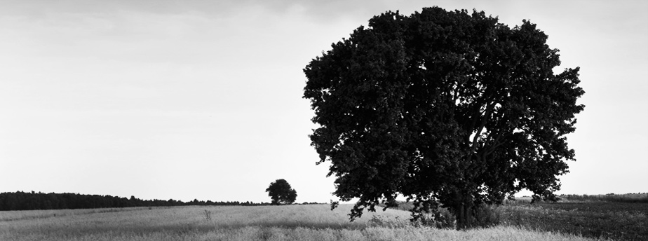 免费cc攻击测试