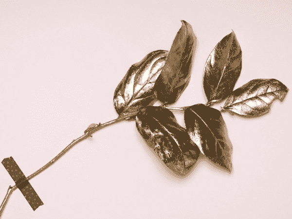 ddos攻击在哪能买到